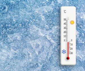 temperatura ideal para camara fria
